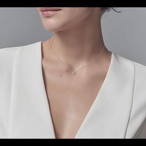 New Tiffany’s Necklace